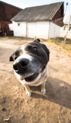 Similar image 2945395