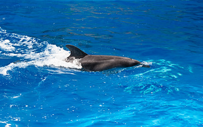 Similar image 2945396