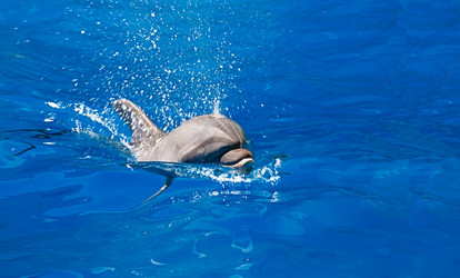 Similar image 2945397