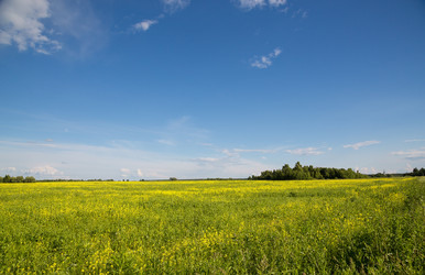 Similar image 2945398