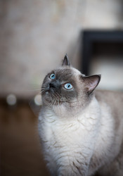 Similar image 2945428