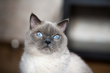 Similar image 2945429