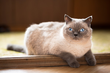 Similar image 2945430