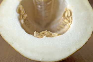 Similar image 2945437