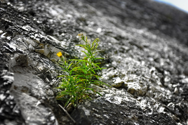 Similar image 2945558