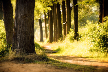 Similar image 2945559