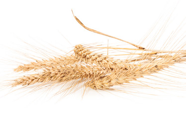 Similar image 2945587