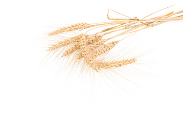 Similar image 2945590