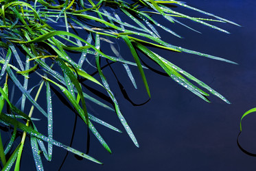 Similar image 2945597