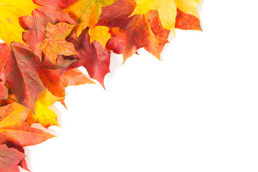 Similar image 2945617