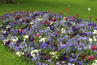 Similar image 2945760