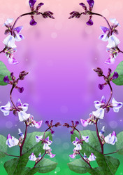 Similar image 2945762