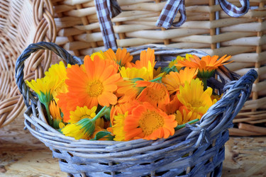 Similar image 2945763