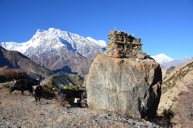 Similar image 2945826