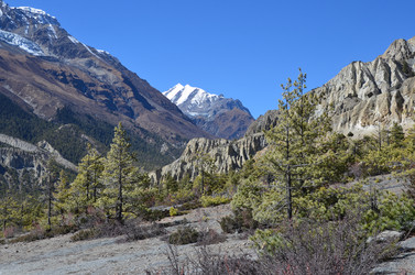 Similar image 2945834