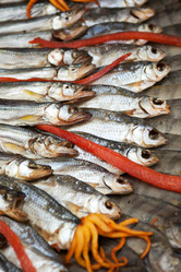 Similar image 2945983