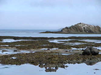 Similar image 2946021