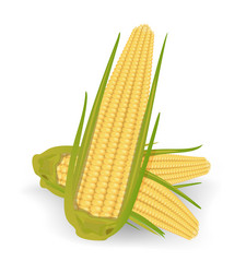 Similar image 2946034