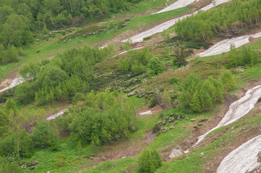 Similar image 2946067