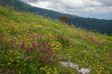 Similar image 2946068