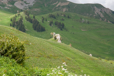 Similar image 2946094