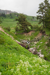 Similar image 2946096