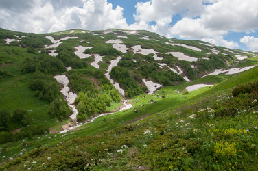 Similar image 2946112