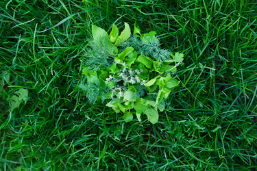 Similar image 2946191