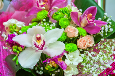 Similar image 2946193