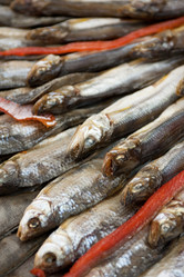 Similar image 2946293