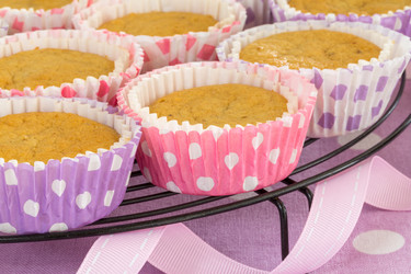 Similar image 2946432