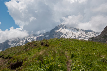 Similar image 2946476