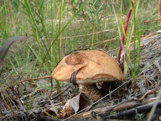 Similar image 2946561