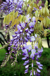 Similar image 2946761