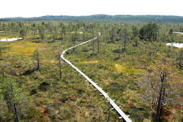 Similar image 2946884