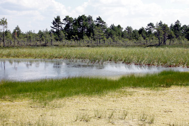 Similar image 2946885