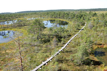 Similar image 2946886