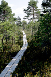 Similar image 2946887