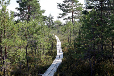 Similar image 2946888