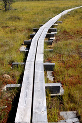 Similar image 2946890