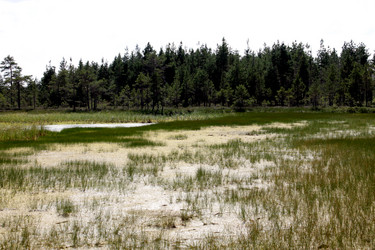 Similar image 2946891