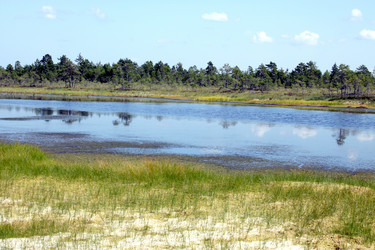 Similar image 2946892