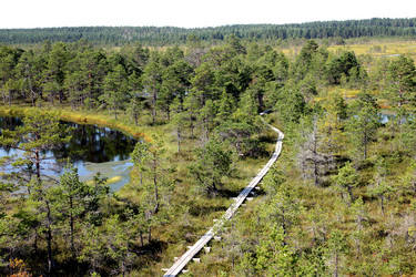 Similar image 2946893