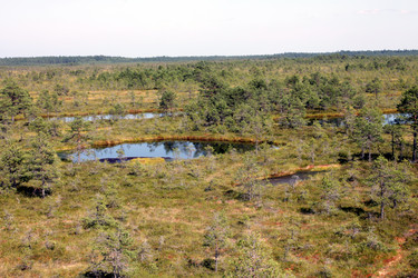 Similar image 2946895