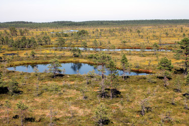 Similar image 2946897