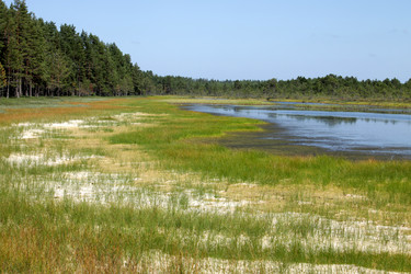 Similar image 2946900