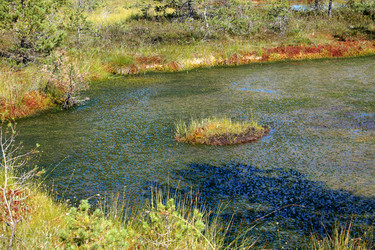 Similar image 2946915