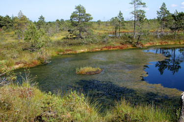 Similar image 2946916