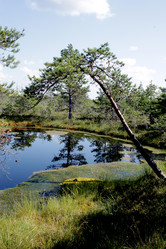 Similar image 2946917