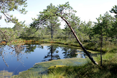 Similar image 2946918